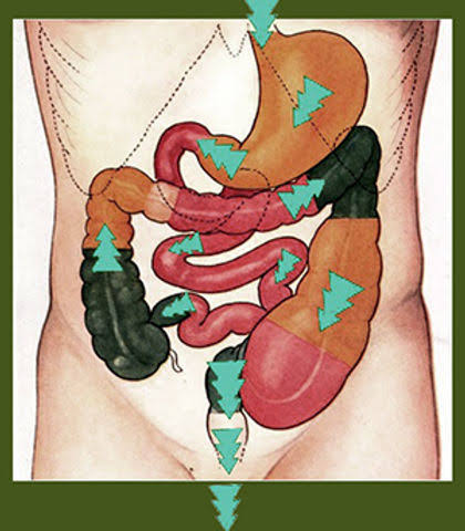 Virechana (Therapeutic Purgation)